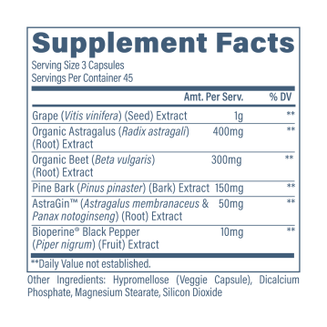 Autre vue de Revive MD – Kidney