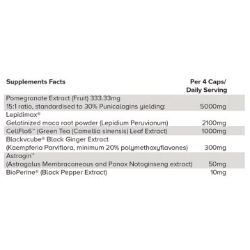 Alternativ visning af HR Labs - Ride on
