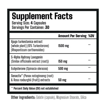 Vista alternativa dell'MuscleRage – NattyQuad