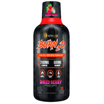 Vista alternativa dell'Alpha Lion - Burn2O