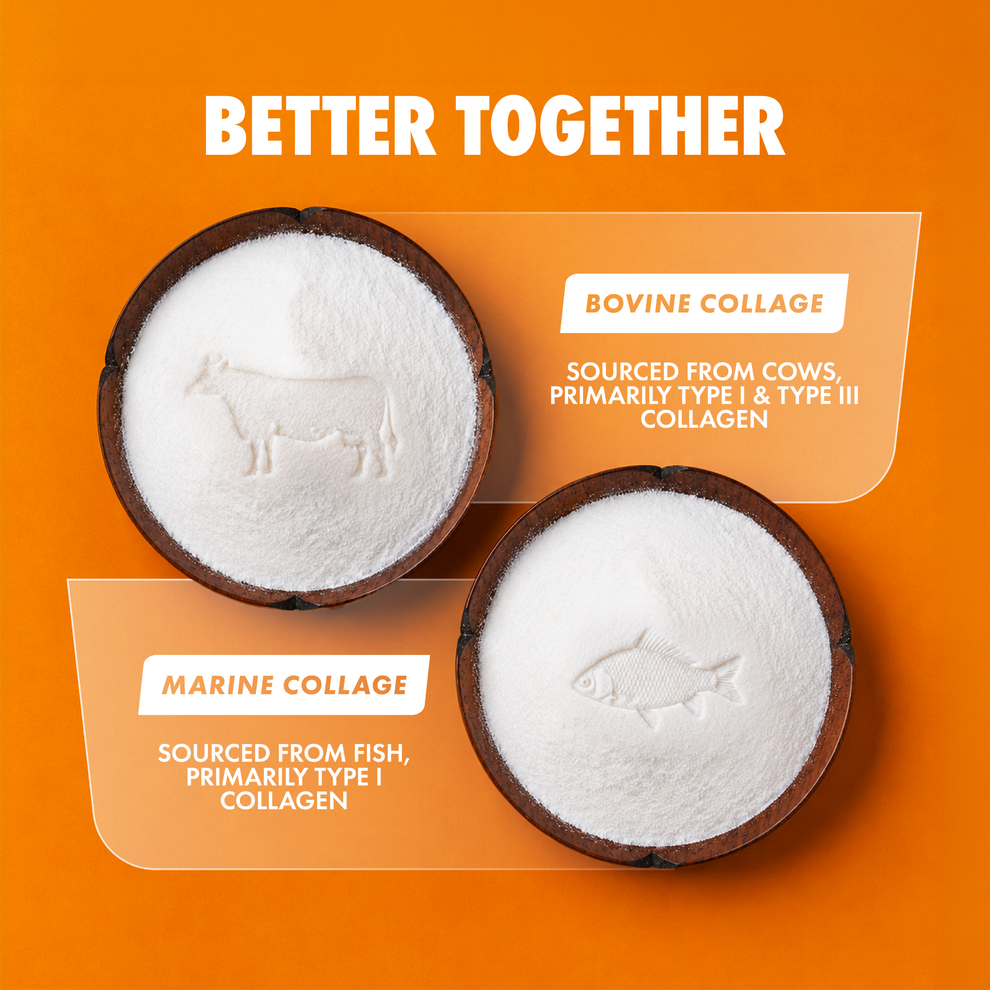 Per4m - Collagen - immagine 3